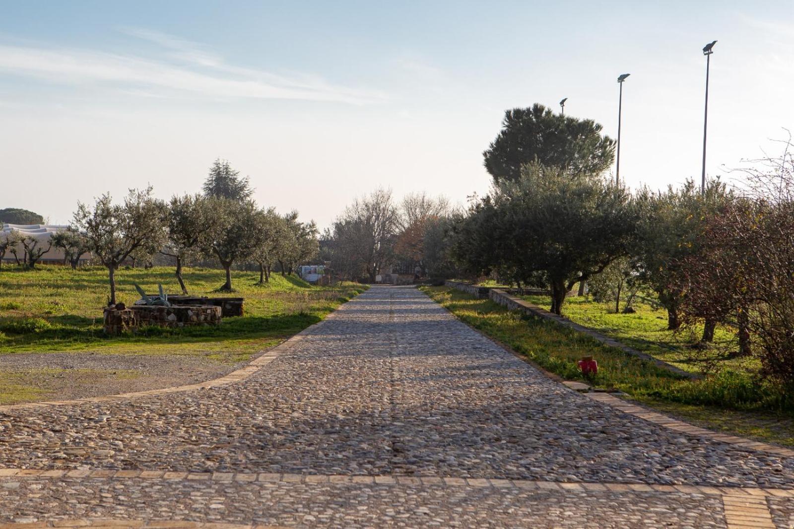 Agriturismo Masseria Fonte Di Maroglio Castrovillari Exterior foto