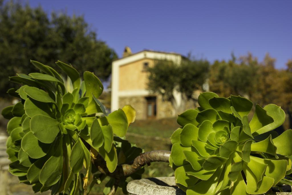 Agriturismo Masseria Fonte Di Maroglio Castrovillari Exterior foto